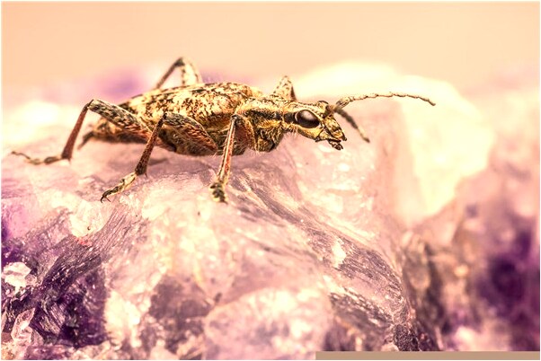 夢到了跟女孩共浴有什麼意義嗎_周公解夢官網