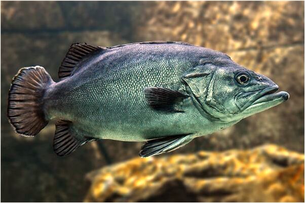 夢到了大拇指被咬有什麼意義嗎_周公解夢官網