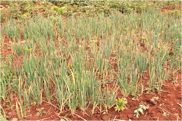 夢見幾個人抱在一起有什麼意思_周公解夢官網