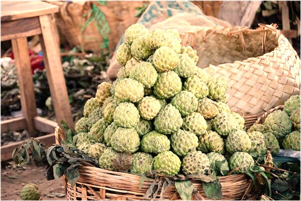 夢見我和爸爸被猴子捉弄是什麼意思？_周公解夢官網