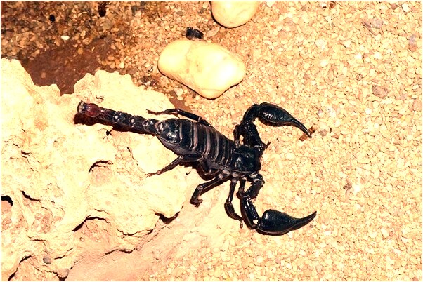 夢到老公和我閨密好上了有什麼說法_周公解夢官網