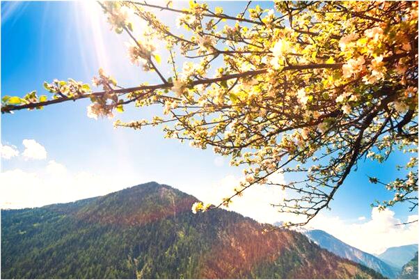 夢到了手機和錢掉廁所撿起來有什麼意思_周公解夢官網