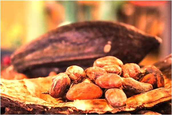 夢見自己被車是咋回事_周公解夢官網