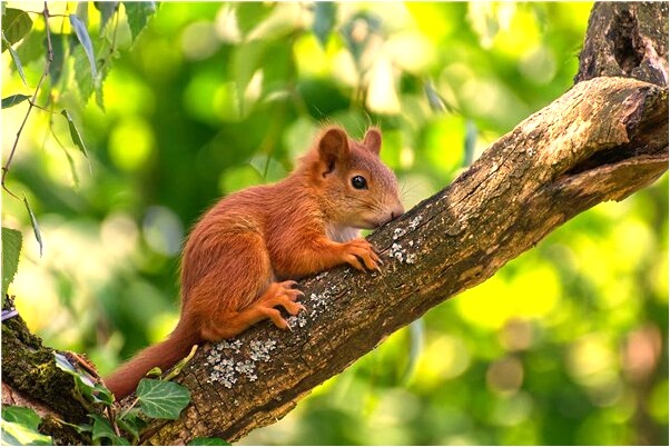 夢見陌生人看中我讓我去他家預示了什麼_周公解夢官網