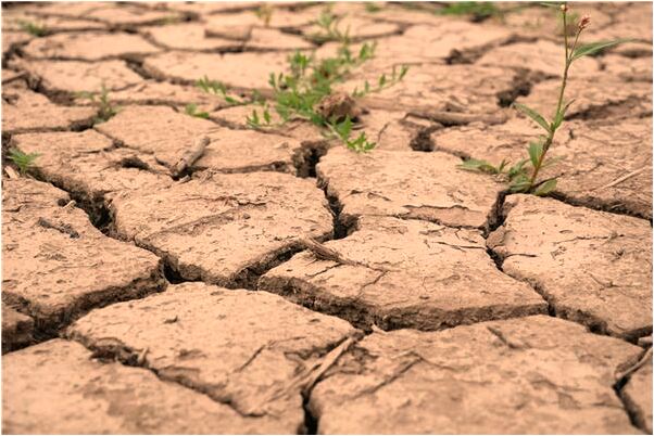 夢見親人病重痊癒啥意思_周公解夢官網