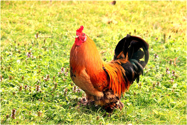 夢到釣魚時線扔到水庫對面山上有什麼寓意嗎_周公解夢官網