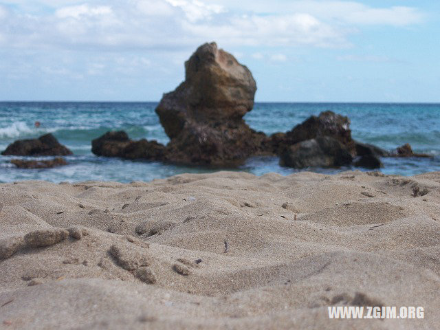 夢見和狗睡覺_周公解夢夢到和狗睡覺是什麼意思_做夢夢見和狗睡覺好不好_周公解夢官網