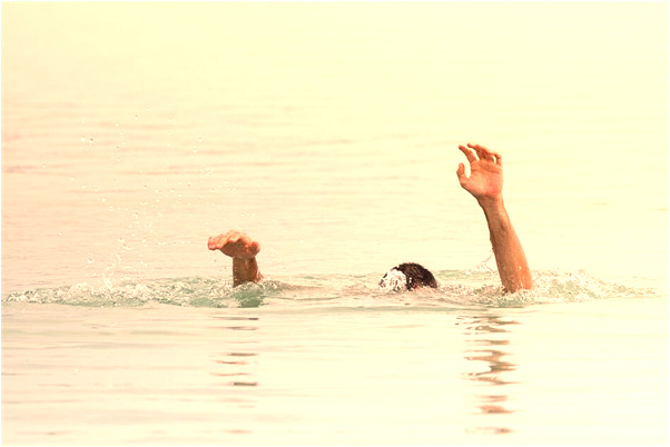 夢見大彝蛇在水裡向我遊了過來預示了什麼_周公解夢官網