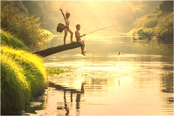 夢到狐狸吃內臟有什麼寓意嗎？_周公解夢官網