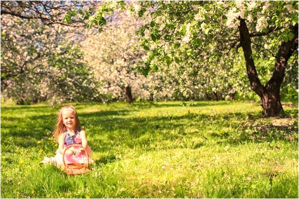 夢到了拍標準照會怎么樣_周公解夢官網