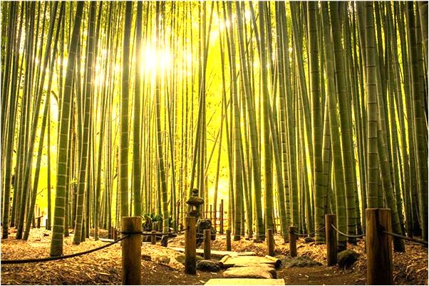 夢到生了雙胞胎男孩是好是壞_周公解夢官網