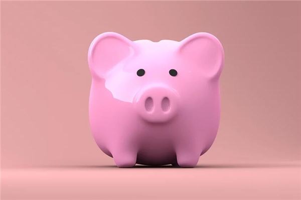 1971屬豬2020年運勢如何_十二生肖