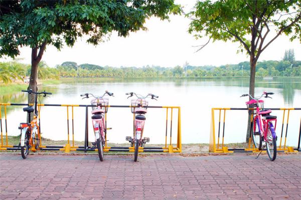 夢見丟腳踏車_周公解夢