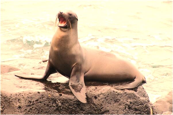 夢到替藥別人求是好事還是壞事_周公解夢官網