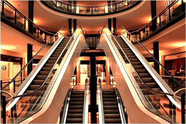 夢見全家挖冬筍山上著火是咋回事_周公解夢官網