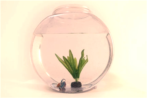 夢到了水是綠油油的是好的徵兆嗎_周公解夢官網