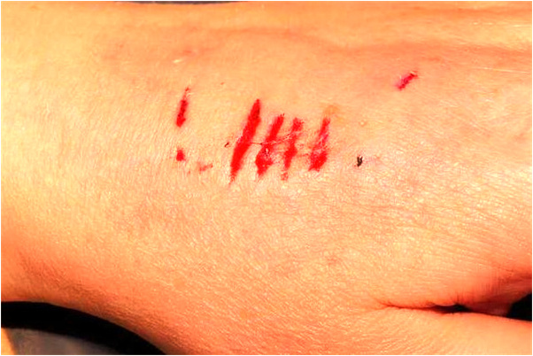 夢見女友把我給殺了意味什麼_周公解夢官網