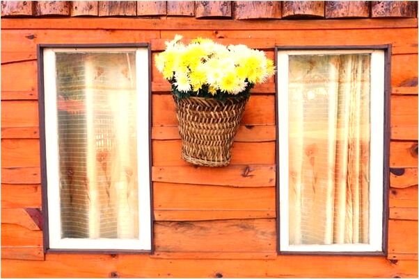 夢到很多蓋蟲有什麼說法_周公解夢官網