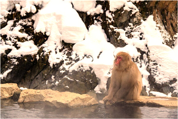 夢見給妹妹買新衣服是什麼兆頭_周公解夢官網