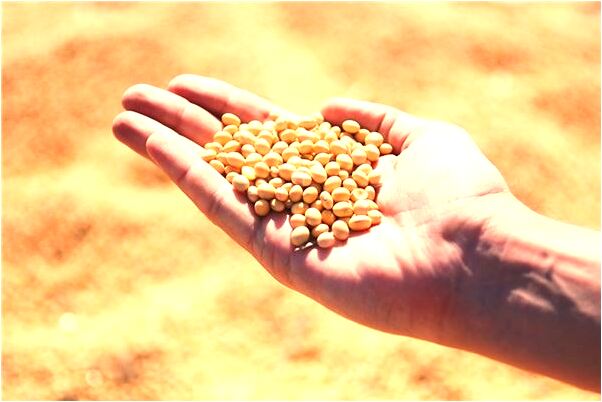 夢見幫人掃屋外衛生是咋回事_周公解夢官網