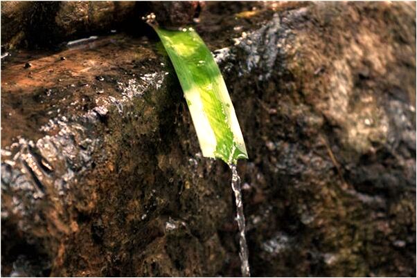 夢見雪地且吃肉是好是壞_周公解夢官網