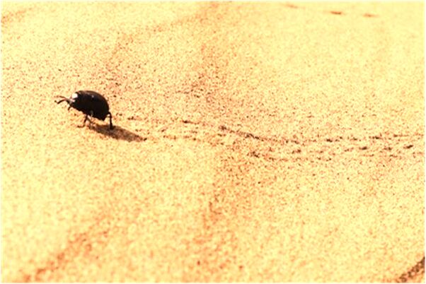 夢到老公老婆生女兒預示什麼_周公解夢官網