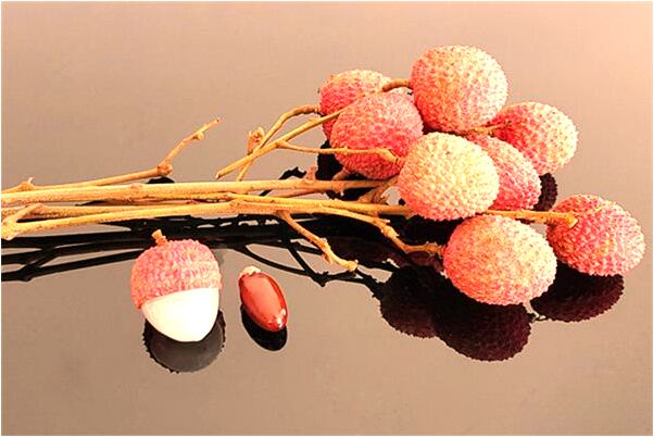 夢見別人學騎機車是好事還是壞事_周公解夢官網