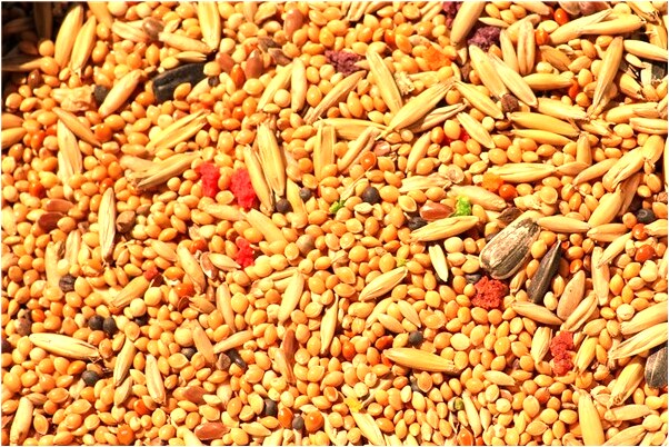 夢到了已經死了的爺爺好不好_周公解夢官網