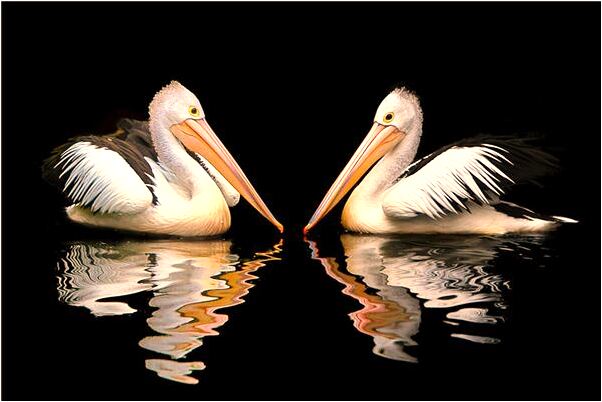 夢見縐繪爲有什麼意思_周公解夢官網