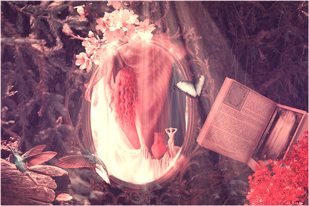 夢見父子相殘意味什麼_周公解夢官網