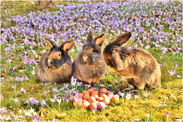 夢到沒出生的孩子都歲了會跑了是什麼兆頭_周公解夢官網