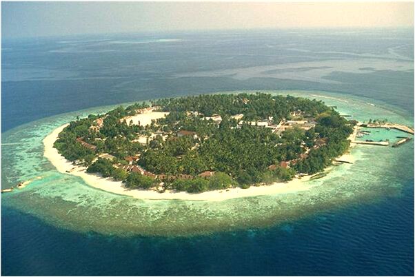 夢到了已故的弟弟開的車意味什麼_周公解夢官網