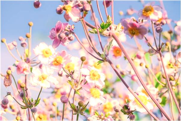 夢到了和同學在平房上吃飯怎么樣_周公解夢官網