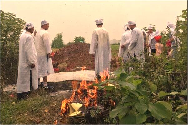 夢見爬上高牆不敢下來啥意思_周公解夢官網