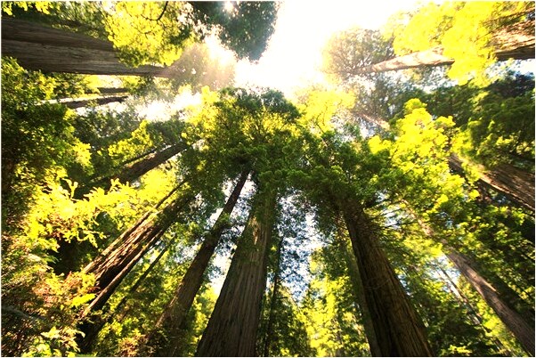 夢到和老婆為錢吵架是什麼意思？_周公解夢官網