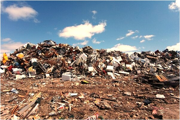 夢到了田裡到處是土豆是什麼意思_周公解夢官網