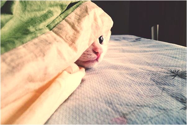 夢到點火點不著有什麼意思_周公解夢官網