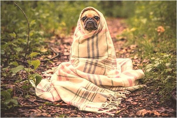 夢到了別人把錢給老爸會怎么樣_周公解夢官網