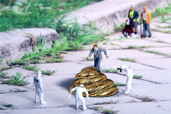 夢見牛屎_周公解夢