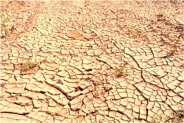 夢到自己抱著一孩子跑步的預兆_周公解夢官網