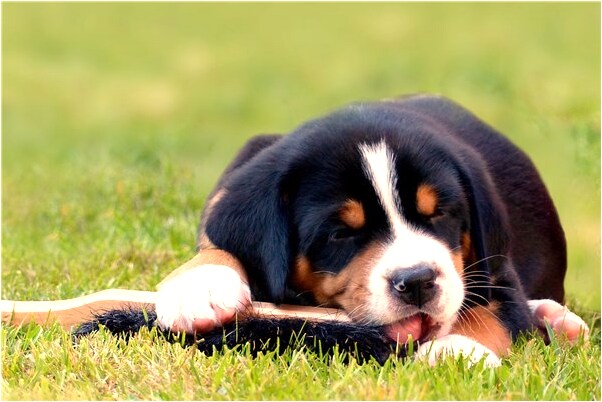 夢到了女人乾保潔啥意思_周公解夢官網