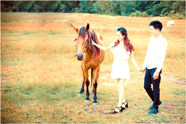 夢到和同事一起搞衛生什麼寓意_周公解夢官網