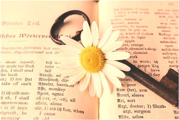 夢見一個人到上海旅遊是咋回事_周公解夢官網