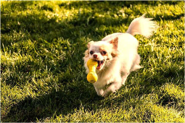 夢到了穿老婆內褲有什麼意思_周公解夢官網