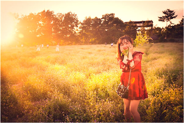 夢見把茅坑改成辦公室是怎么回事_周公解夢官網