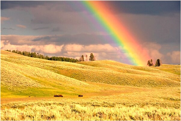 夢到了故友死了啥意思_周公解夢官網
