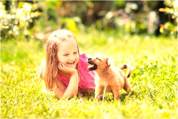 夢到了一頭白肥豬追我意味著什麼_周公解夢官網