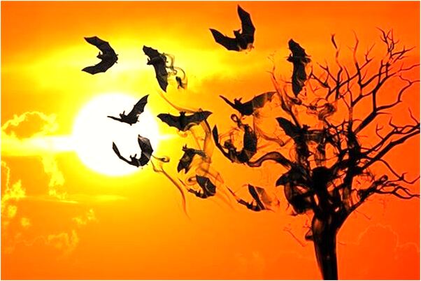 夢到了地面被翻起來有什麼寓意嗎_周公解夢官網