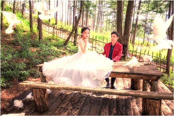 夢到了猴子咬手臂什麼寓意_周公解夢官網