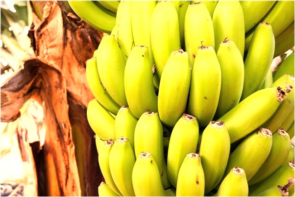 夢到很多穿校服學生是什麼啟示_周公解夢官網